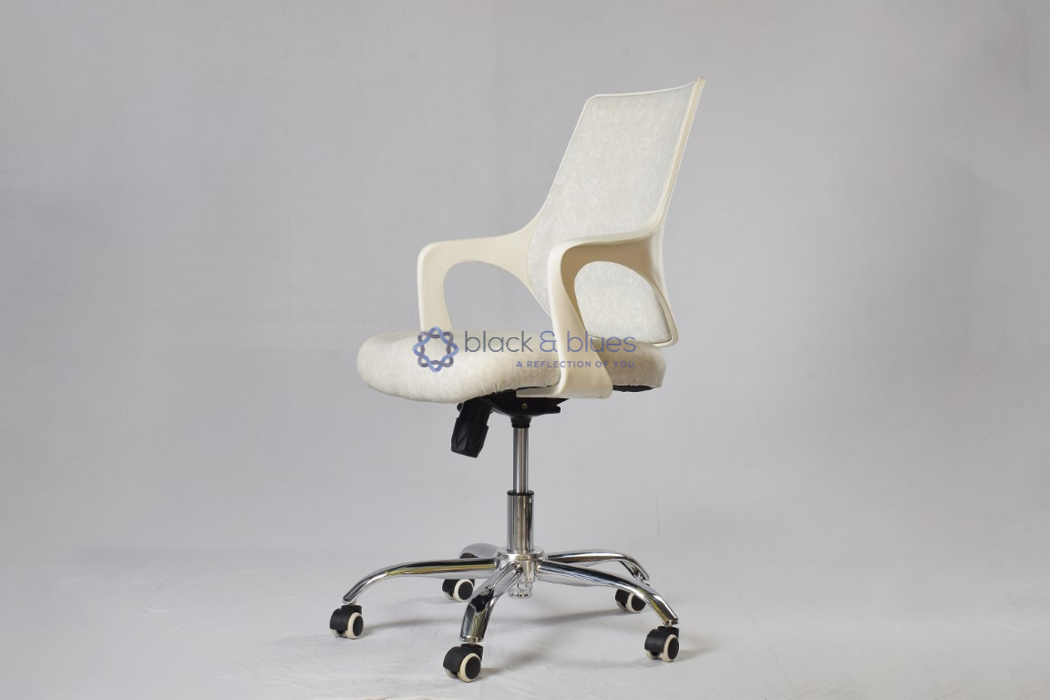 RACCOON SMART -2 (WHITE/GREY)