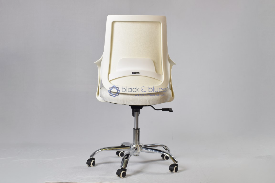 RACCOON SMART -2 (WHITE/GREY)